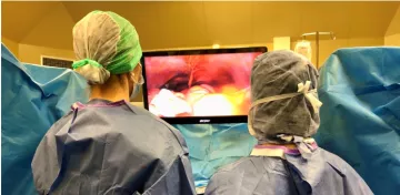 v-notes chirurgie gynécologique