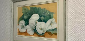 exposition patiente oncologie