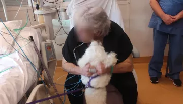 visite patiente animal de compagnie chien