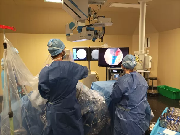 endoscopie rachidienne