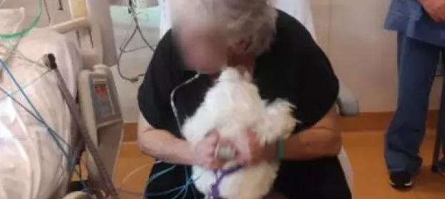 réanimation animaux